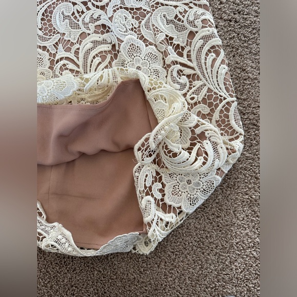 Dress The Population White and Nude Lace Ava Dress - V Neck Mini - Picture 3 of 16